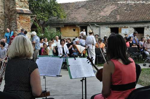 VT axente sever (c) AJTS