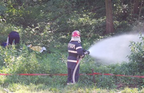 exercitii pompieri medias 1