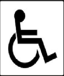 indicator persoane handicap 