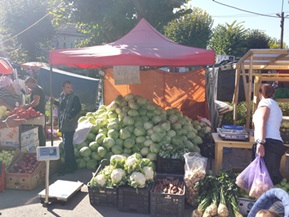 FESTIVALUL VERZEI MOSNA UNU