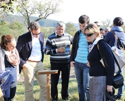 RECOLTA MERE MALANCRAV 1