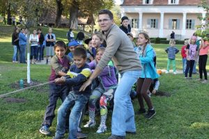 RECOLTA MERE MALANCRAV 3