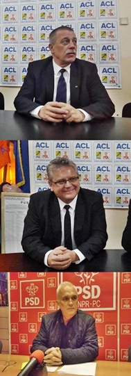 neamtu+petrescu+arcas 1