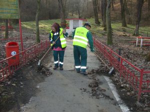 campanie curatenia de primavara medias 1