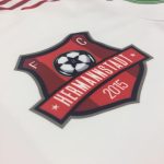 FC Hermannstadt Facebook